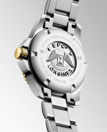Hydroconquest L33703876