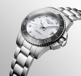 Hydroconquest L33704876