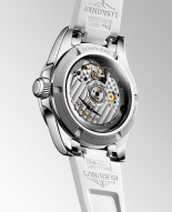 Conquest L34300879