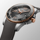 Hydroconquest L37813789