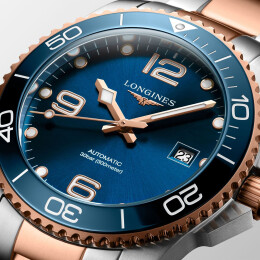 hydroconquest L37813987