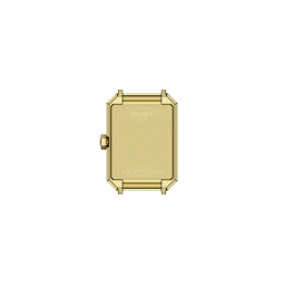 SRV T1601103612600